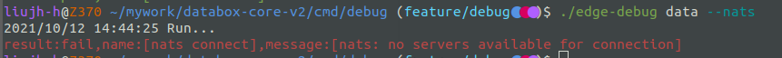 nats测试失败